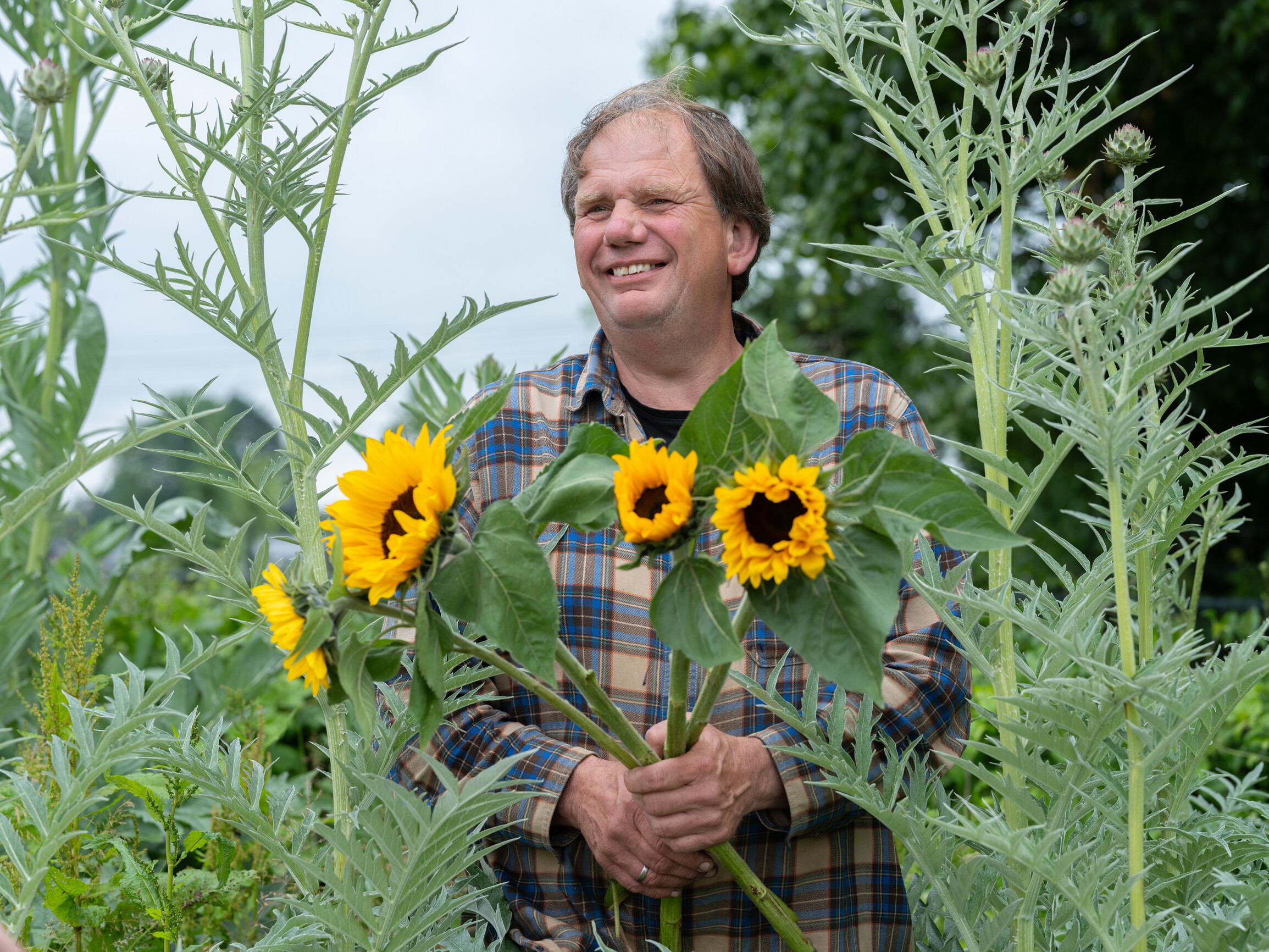 365dagenbloemen-HanFokkink-1583.jpg